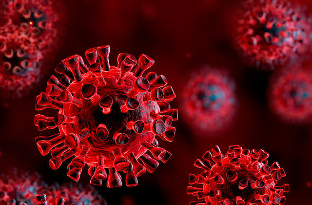 Coronavirus scienza